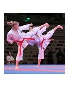 KARATE | Equipamento karate | protecções de karaté