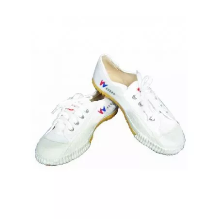 Sapatos Kung fu - Taichi Wacoku Branco 1